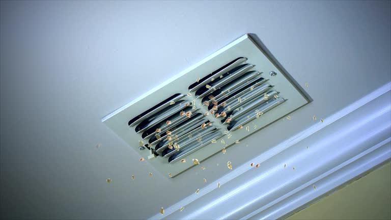 Best Affordable Air Duct Cleaning  in Orange, VA